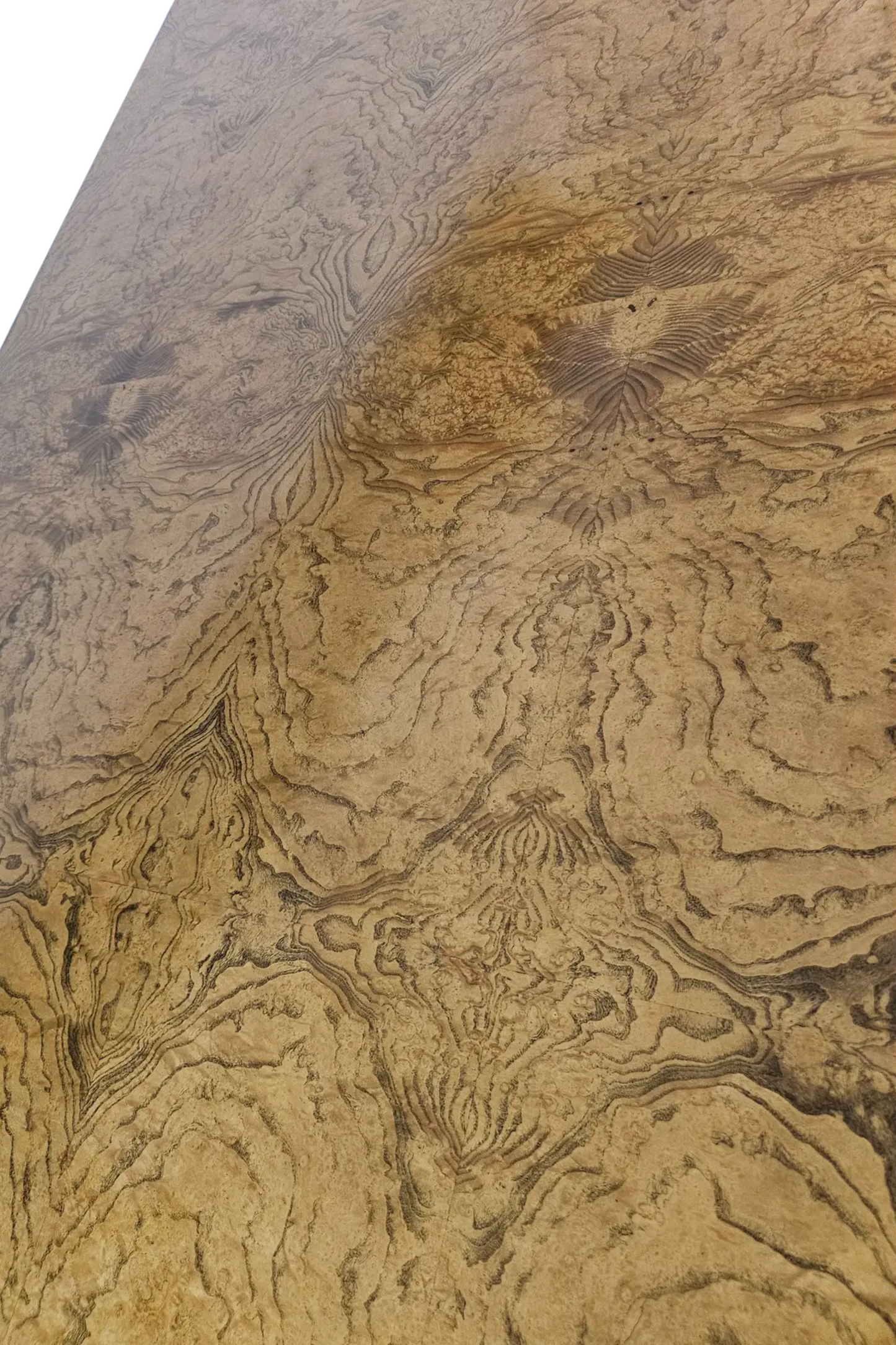 1970s Burl Wood Dining Table