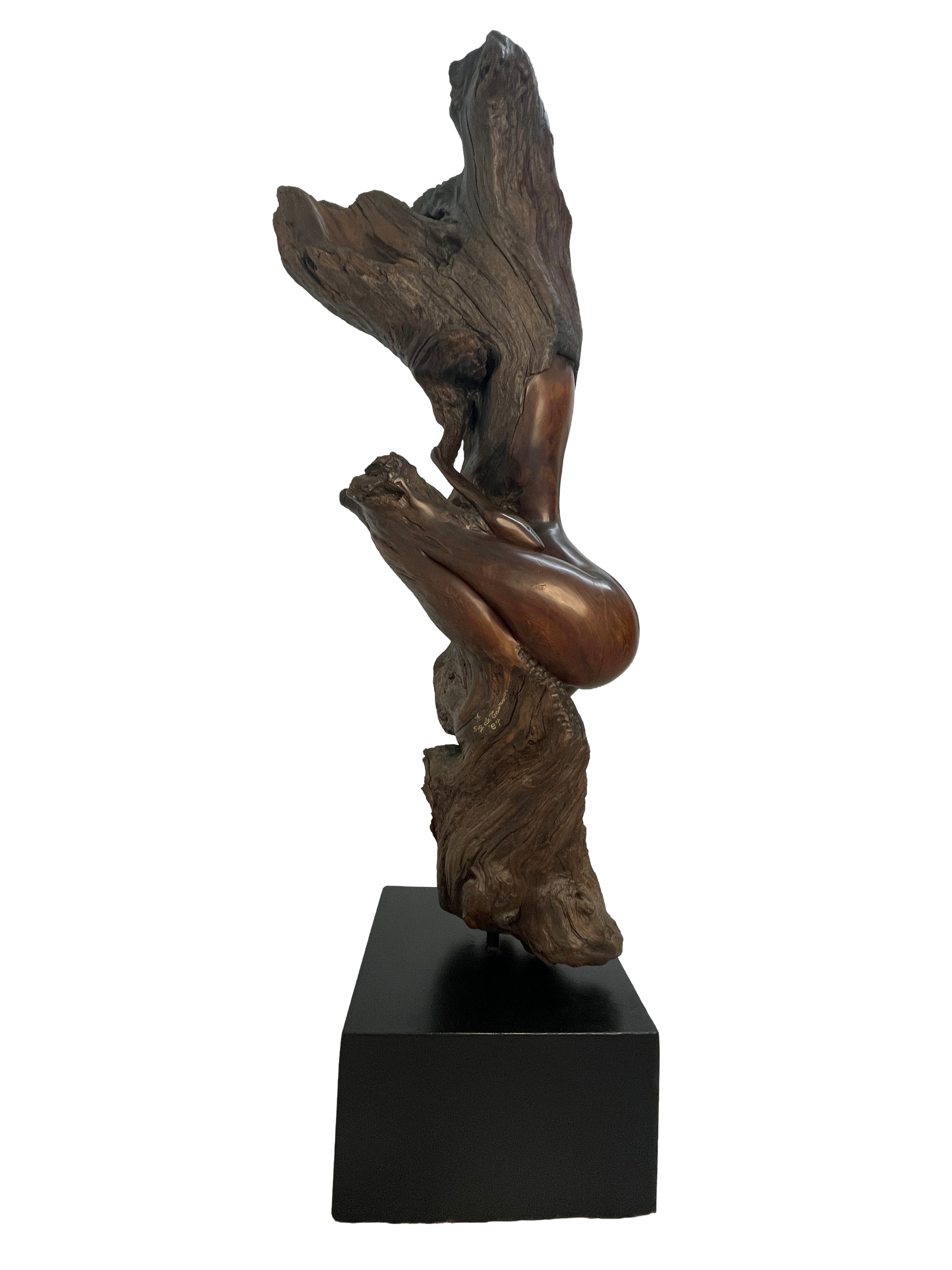 Front angled view of signed Sig de Tonancour abstract figurative wood sculpture mounted on black pedestal.