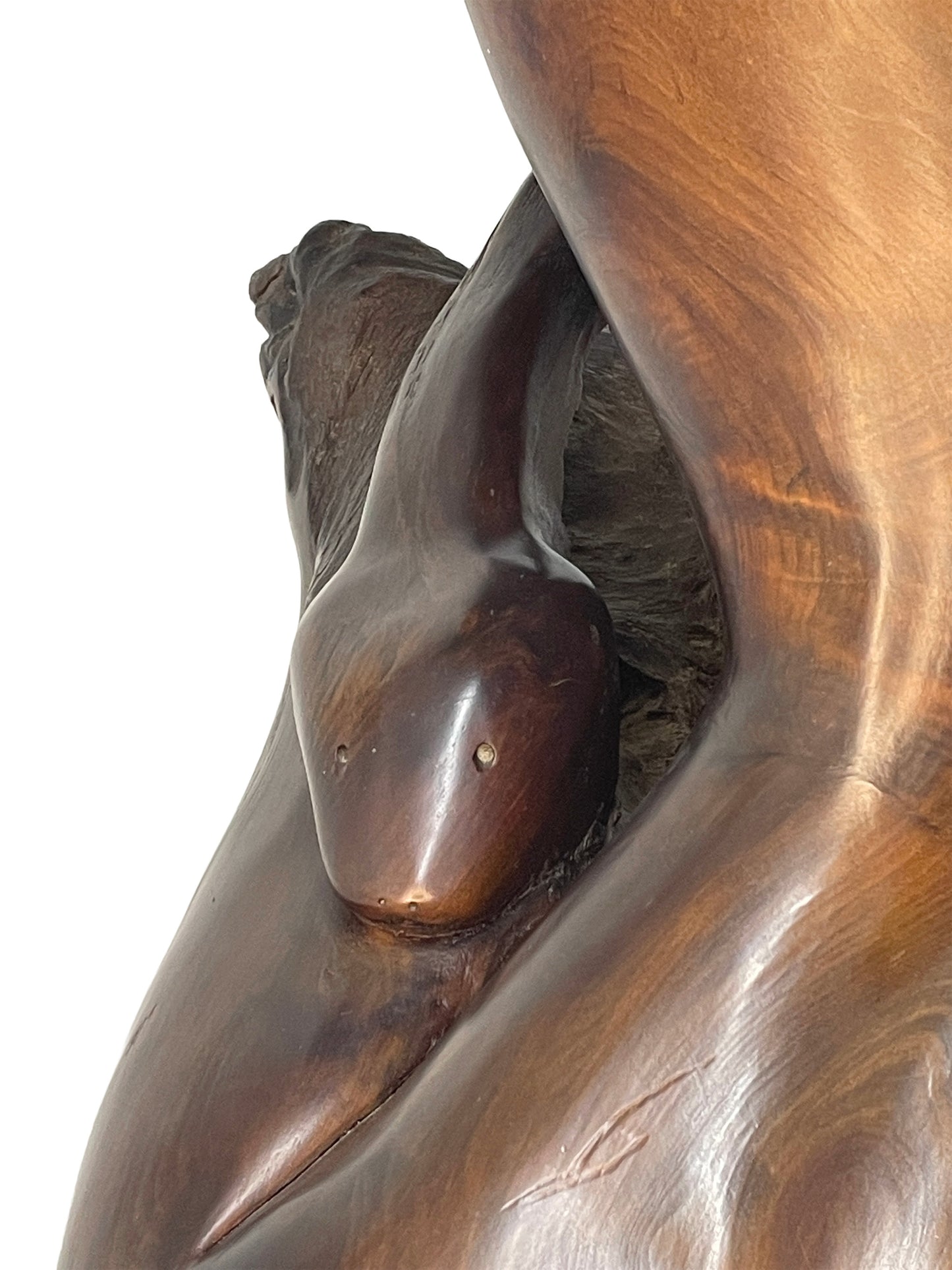 Close-up detail of abstract figurative carving within monumental signed wood sculpture by Sig de Tonancour.