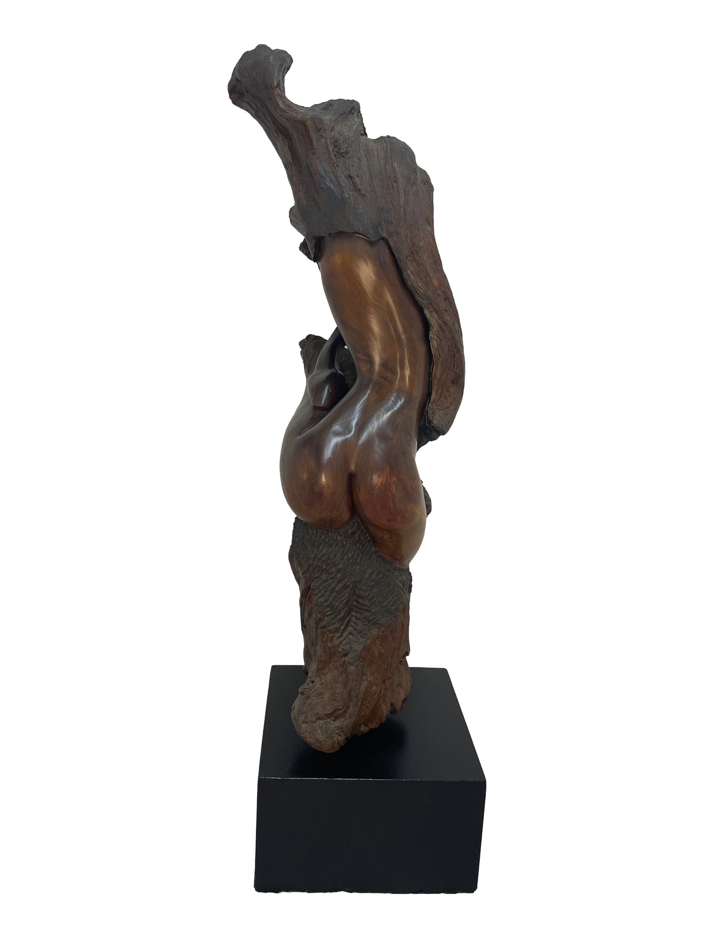 Detail view of monumental organic modern wood sculpture by Sig de Tonancour showing polished carved wood and natural texture contrast.