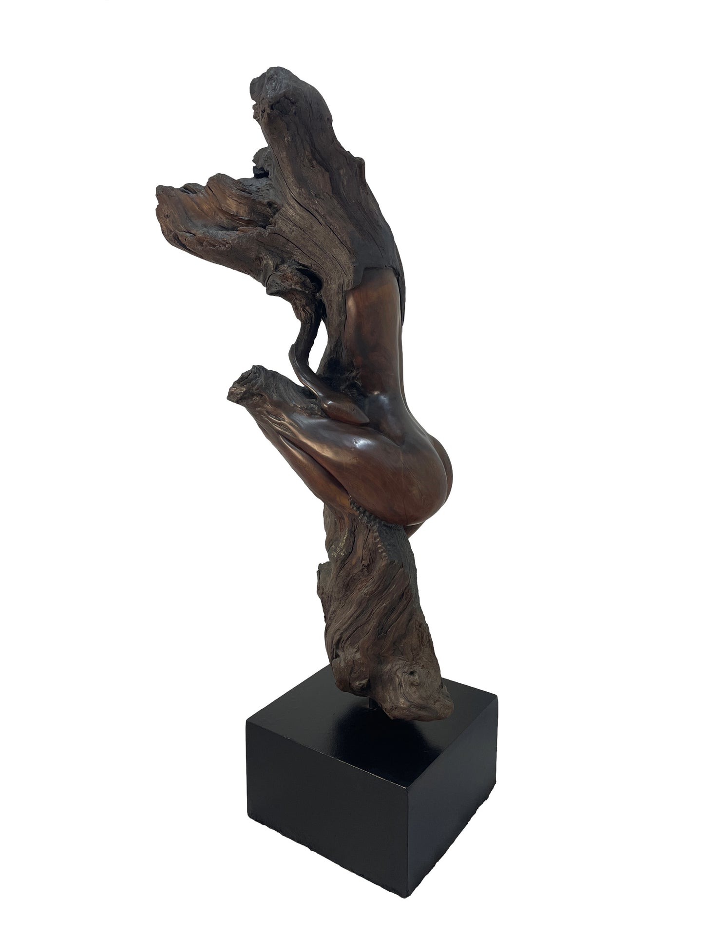 Side view of monumental figurative carved wood sculpture by Sig de Tonancour with organic modern sculptural form and black pedestal.