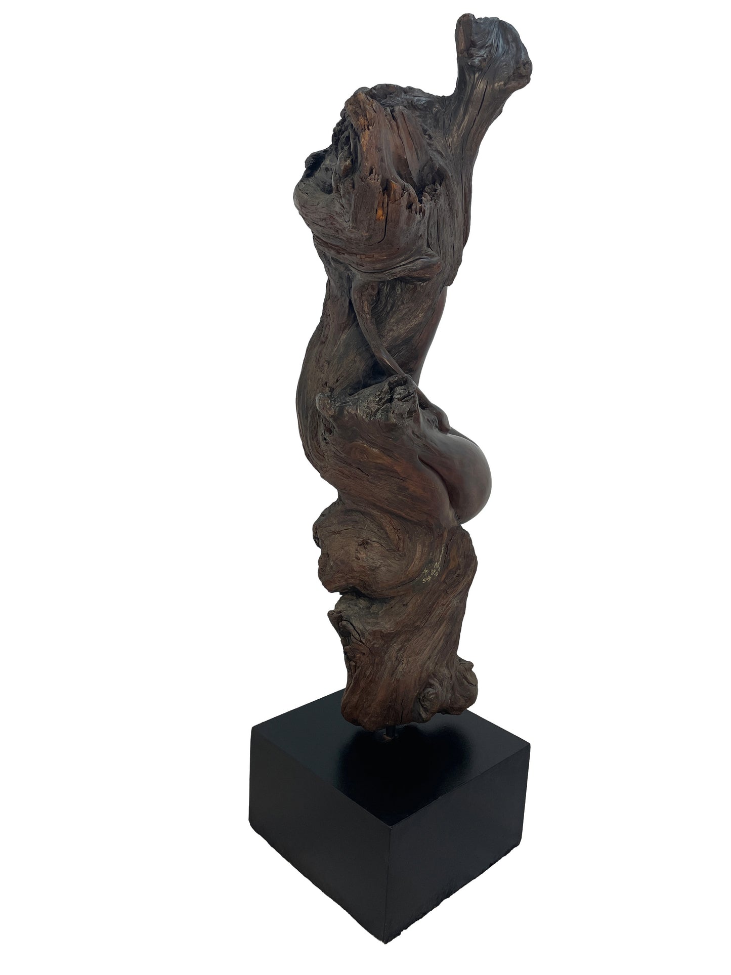 Three-quarter view of monumental organic modern wood sculpture by Sig de Tonancour mounted on black pedestal.