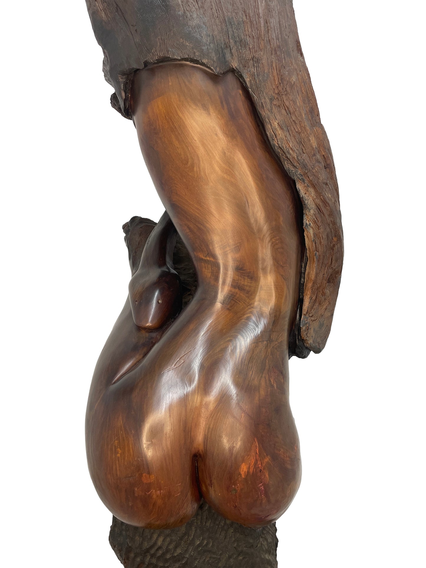 Back detail of abstract organic modern wood sculpture by Sig de Tonancour showing sculpted wood grain and curves.