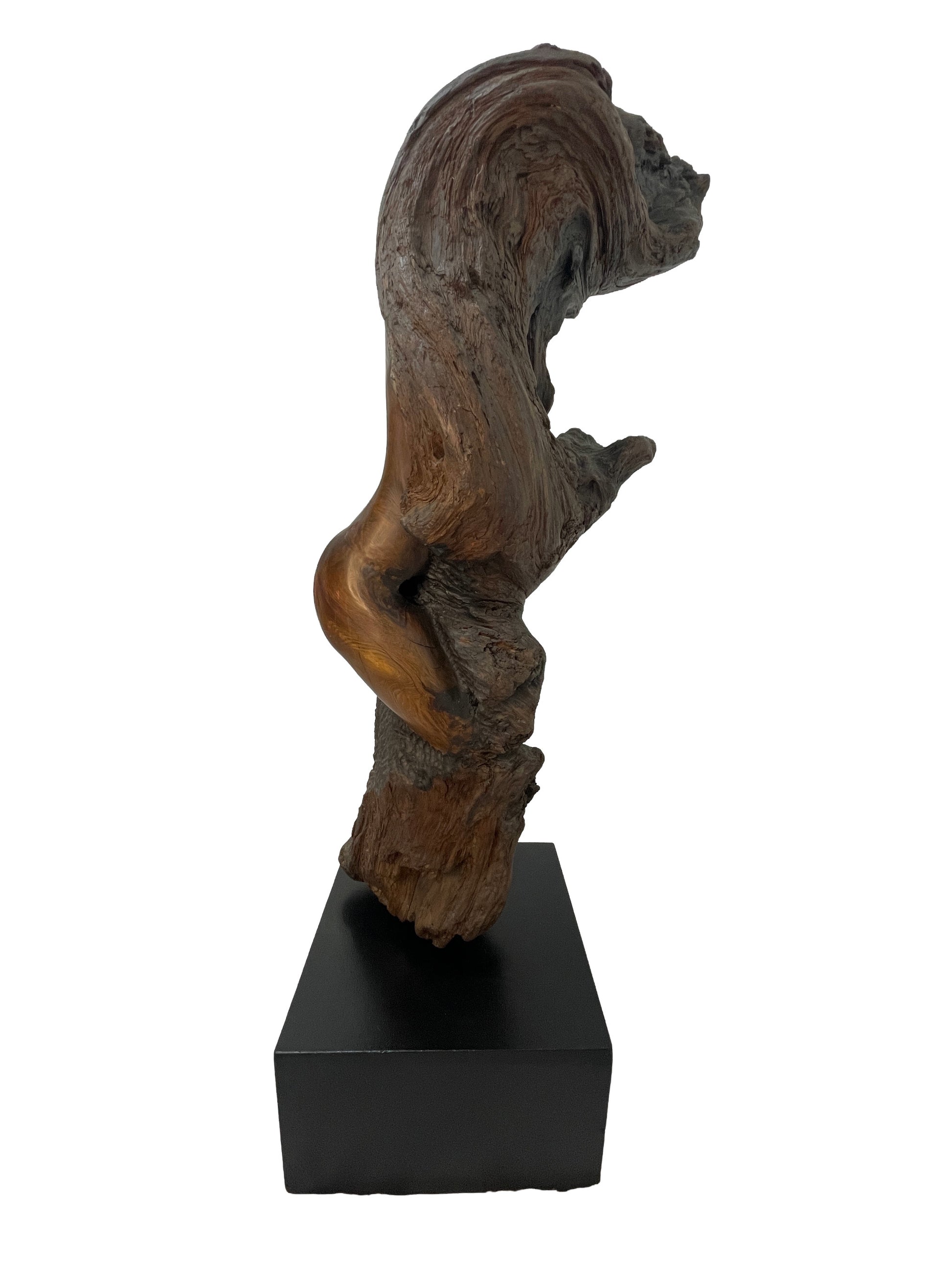 Side profile view of monumental carved wood sculpture by Sig de Tonancour with organic modern figurative form.